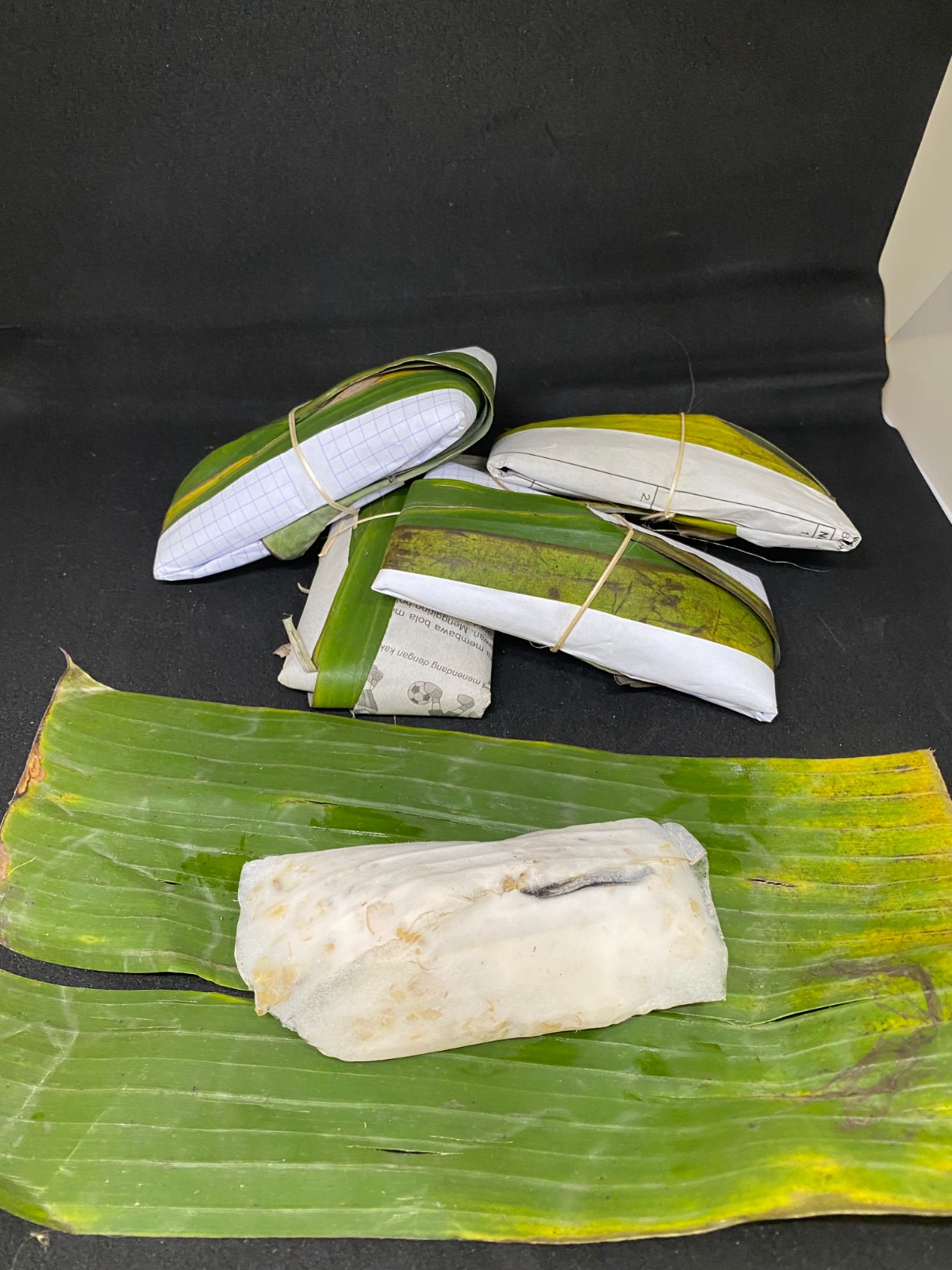 Tempe Daun